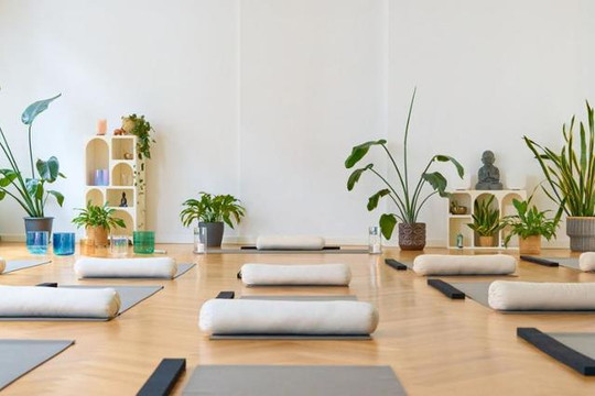 Bild 3 von Yoga Palais - Yoga Treffpunkt im Herzen von Erfurt Partnergalerie