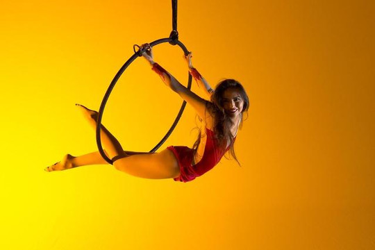 Imagen 1 de la galería del partner On Edge Aerial Dance