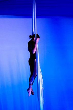 Imagen 3 de la galería del partner On Edge Aerial Dance