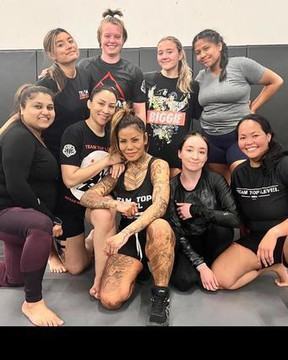 Image 2 from Top Level MMA partner gallery