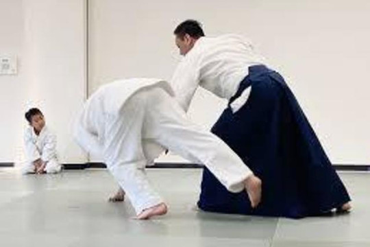 Image 1 from Aikido Hibiki partner gallery