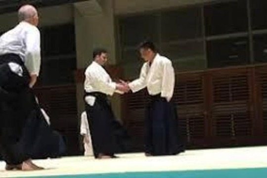 Image 2 from Aikido Hibiki partner gallery