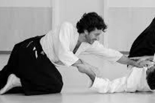 Image 3 from Aikido Hibiki partner gallery