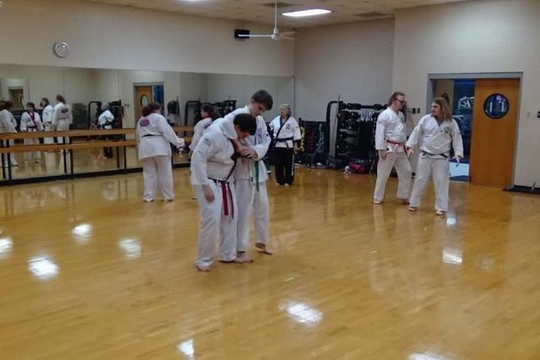 Image 1 from Berringer Martial Arts partner gallery