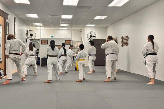 Image 3 from Fremont Shotokan Karate partner gallery