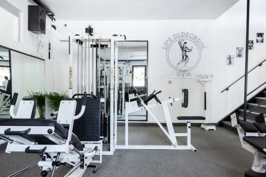 Bild 1 von Lu's Oldschool Gym Partnergalerie
