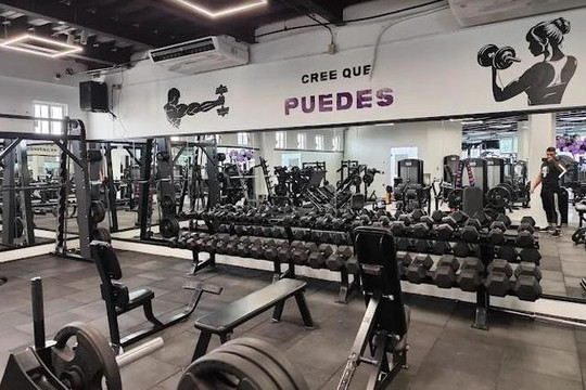 Imagen 2 de la galería del partner Wolf Nation Gym