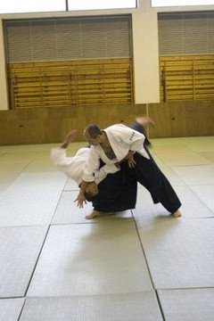 Immagine 2 dalla galleria del partner Aikido Corsico