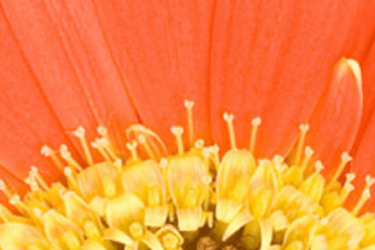 Bild 1 von Yoga & Massage Antje Schäfer Dörnhagen Partnergalerie