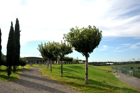 Immagine 2 dalla galleria del partner Heaven Fight Arena