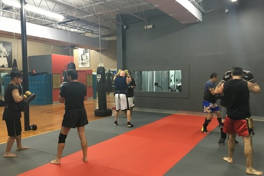 Image 1 from Freestyle Muay Thai partner gallery