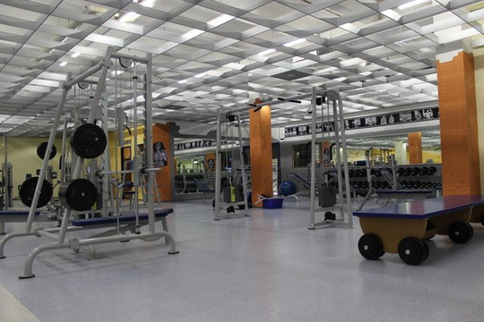 Bild 1 von Trifels Fitness World Annweiler Partnergalerie