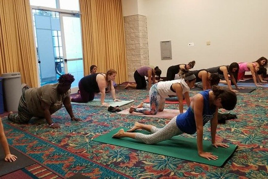 Image 1 from The Yoga Nest partner gallery