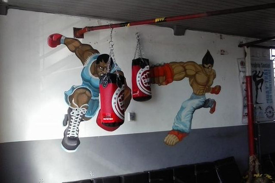 Imagem 3 da galeria do parceiro Academia Sniper Chute Boxe