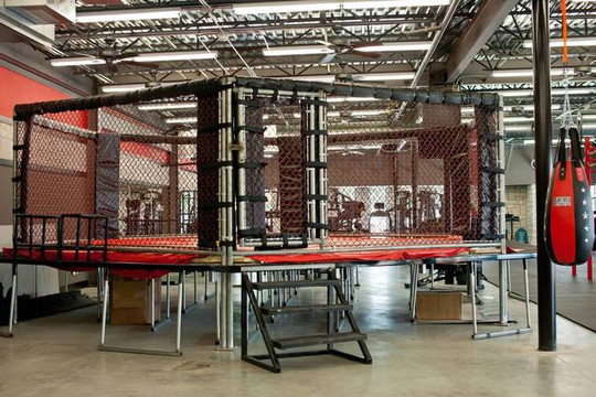 Image 3 from V12 SPORTS & FITNESS partner gallery