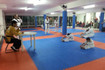 Imagem 1 da galeria do parceiro Tigers Taekwondo e Hapkiyusul