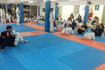 Imagem 3 da galeria do parceiro Tigers Taekwondo e Hapkiyusul
