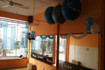 Imagen 2 de la galería del partner Flex - Olavarria