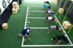 Imagem 1 da galeria do parceiro Cross Life - 21