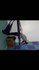 Imagem 5 da galeria do parceiro Studio Inspire Pilates e Estetica