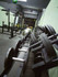 Imagem 2 da galeria do parceiro Work Out Academia