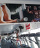 Imagem 7 da galeria do parceiro Academia Bio Vida