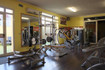 Immagine 7 dalla galleria del partner Hammer Fit asd