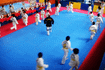 Imagem 4 da galeria do parceiro Taekwondo Maninho