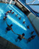 Imagem 7 da galeria do parceiro Puma Fitness