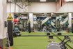Image 4 from Gold's Gym - West Covina partner gallery