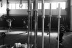 Immagine 1 dalla galleria del partner Crossfit Wild Lions