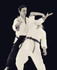 Imagem 2 da galeria do parceiro Kenage Dojo Centro de Aiki