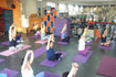 Imagem 3 da galeria do parceiro Training Sports Academia