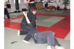 Bild 3 von Shogun-dojo Kampfsportschule Partnergalerie