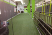 Imagem 4 da galeria do parceiro Box Patrocínio
