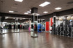 Immagine 2 dalla galleria del partner Fitness Mood