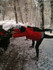 Bild 3 von buggyFit - Kassel Partnergalerie