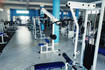 Imagem 1 da galeria do parceiro ACADEMIA MALHAFITNESS
