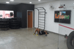 Imagem 7 da galeria do parceiro Life Fit