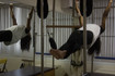 Imagem 5 da galeria do parceiro Bernardo Villela Pilates