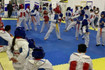 Imagen 4 de la galería del partner Tollan Tkd San Marcos