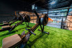 Imagem 2 da galeria do parceiro Invicio Crossfit Itaim