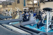 Imagem 5 da galeria do parceiro Animal King - Cidade Praiana
