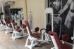 Imagem 2 da galeria do parceiro Animal King - KTA