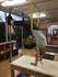 Imagem 6 da galeria do parceiro Equilibrium - Cuidamos de você