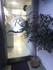 Imagem 5 da galeria do parceiro Fisioestetica e Pilates