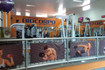 Imagem 2 da galeria do parceiro Academia Bio Corpo
