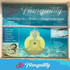 Imagem 2 da galeria do parceiro TRANQUILITY