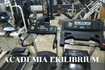 Imagem 6 da galeria do parceiro Ekilibrium Academia