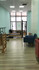 Imagem 6 da galeria do parceiro Studio de Pilates Swan